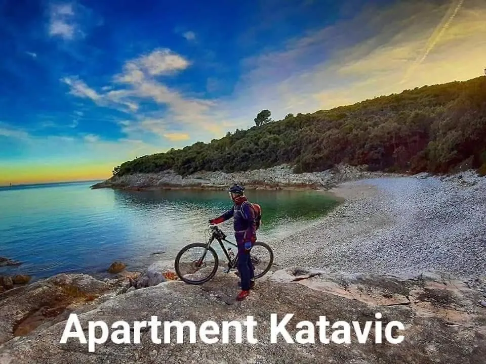 Apartment Katavic Kavran
